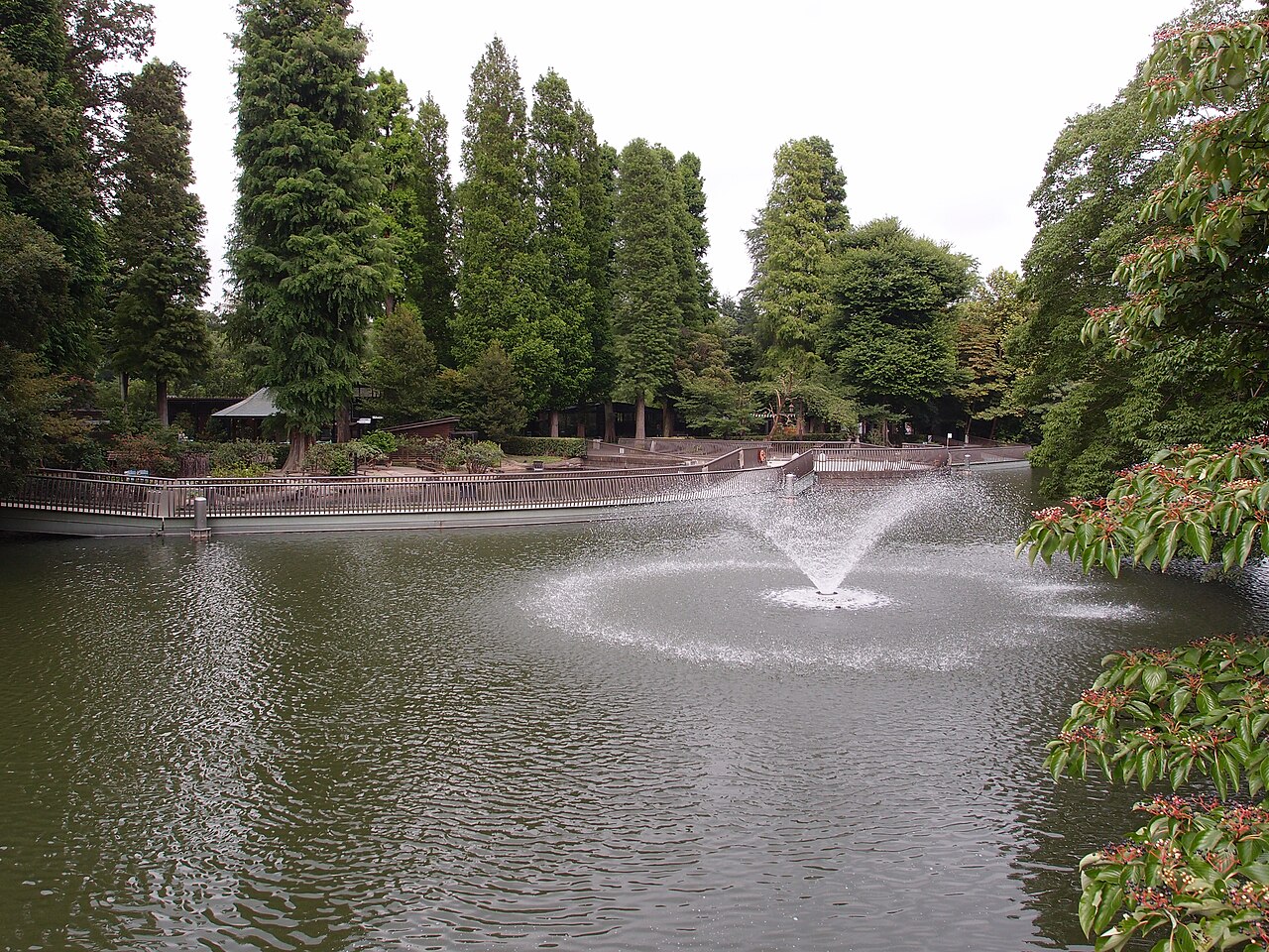 吉祥寺の井の頭恩賜公園