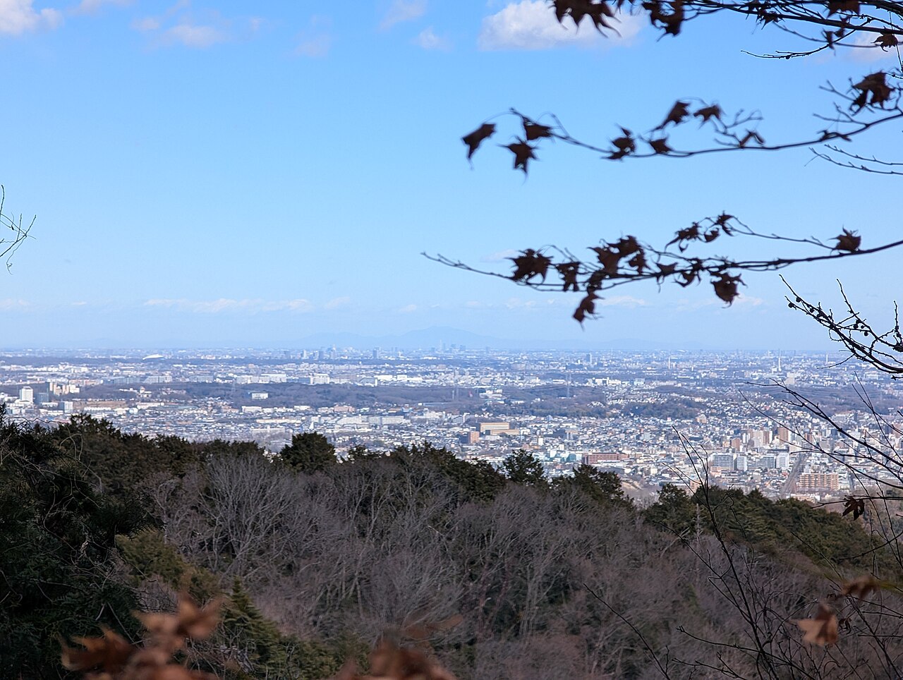 高尾山から見た東京方面の眺望